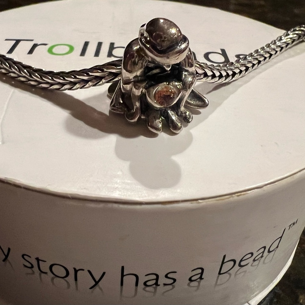 Trollbeads SEER~New~pendant/charm 925 Silver *retired & rare* & last 1 left of 2 - Picture 2 of 15